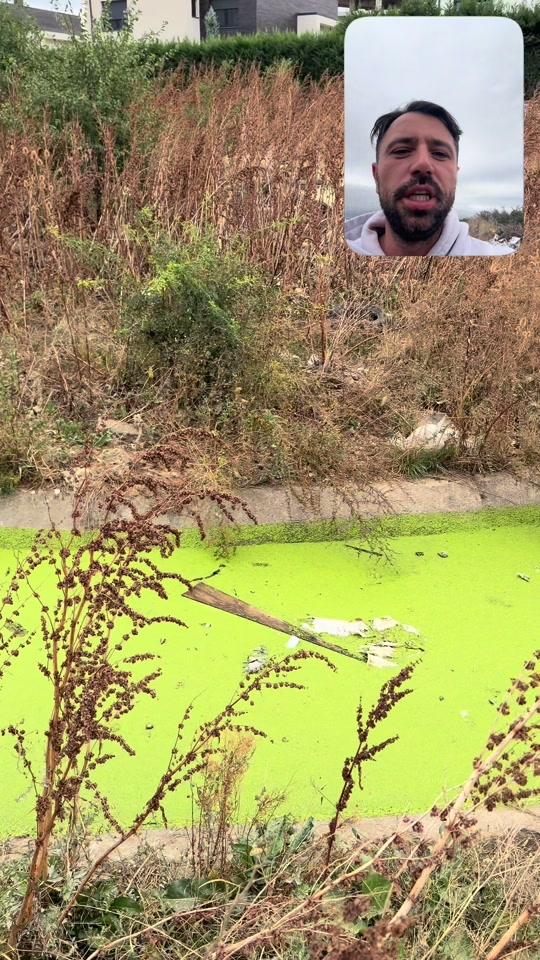Bright green water and vegetation in the original Çagllavicë video, with Eduard speaking in an inset.