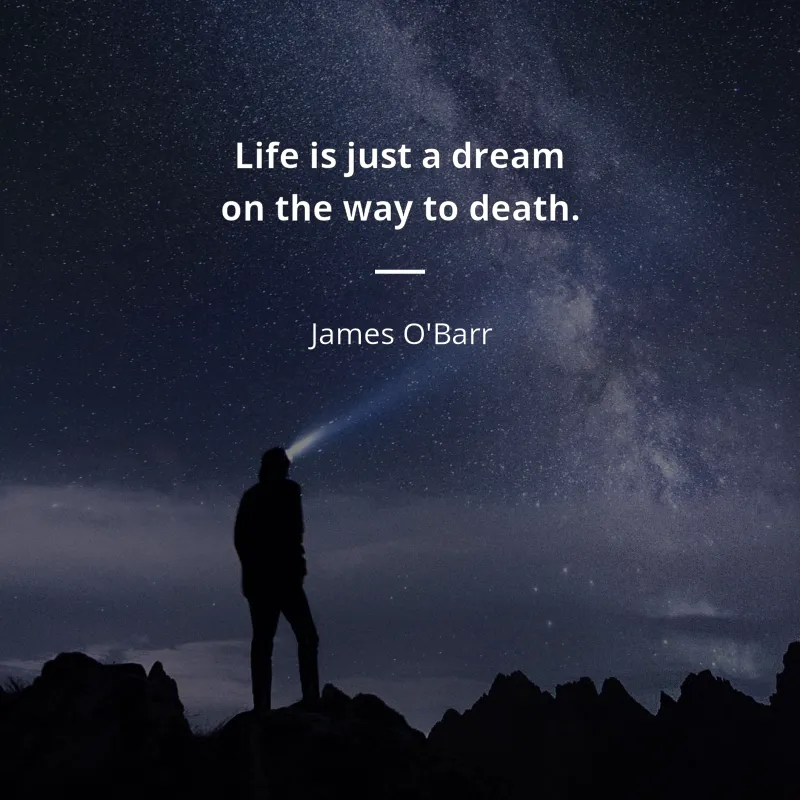 Silhouetted figure under a starry night sky with a quote about life being a dream