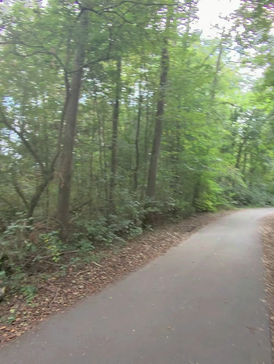 A wooded path in the original thumbnail of Eduard Luta’s conversation about Meta glasses and virtual monitors.