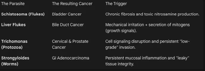 Table pairing parasites like flukes and roundworms with the cancers they trigger