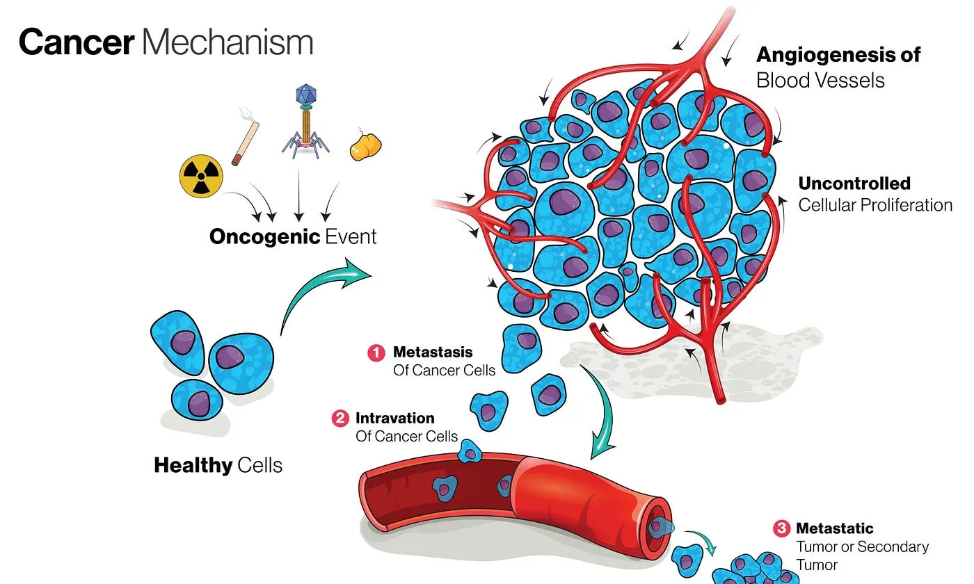 Cancer Mechanism — Shutterstock
