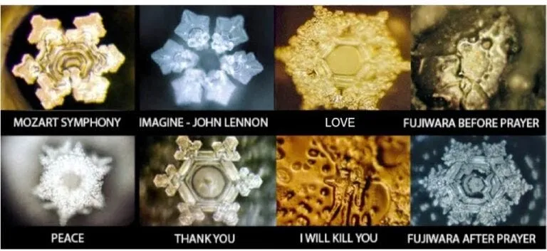 Masaru Emoto — The Hidden Messages in Water